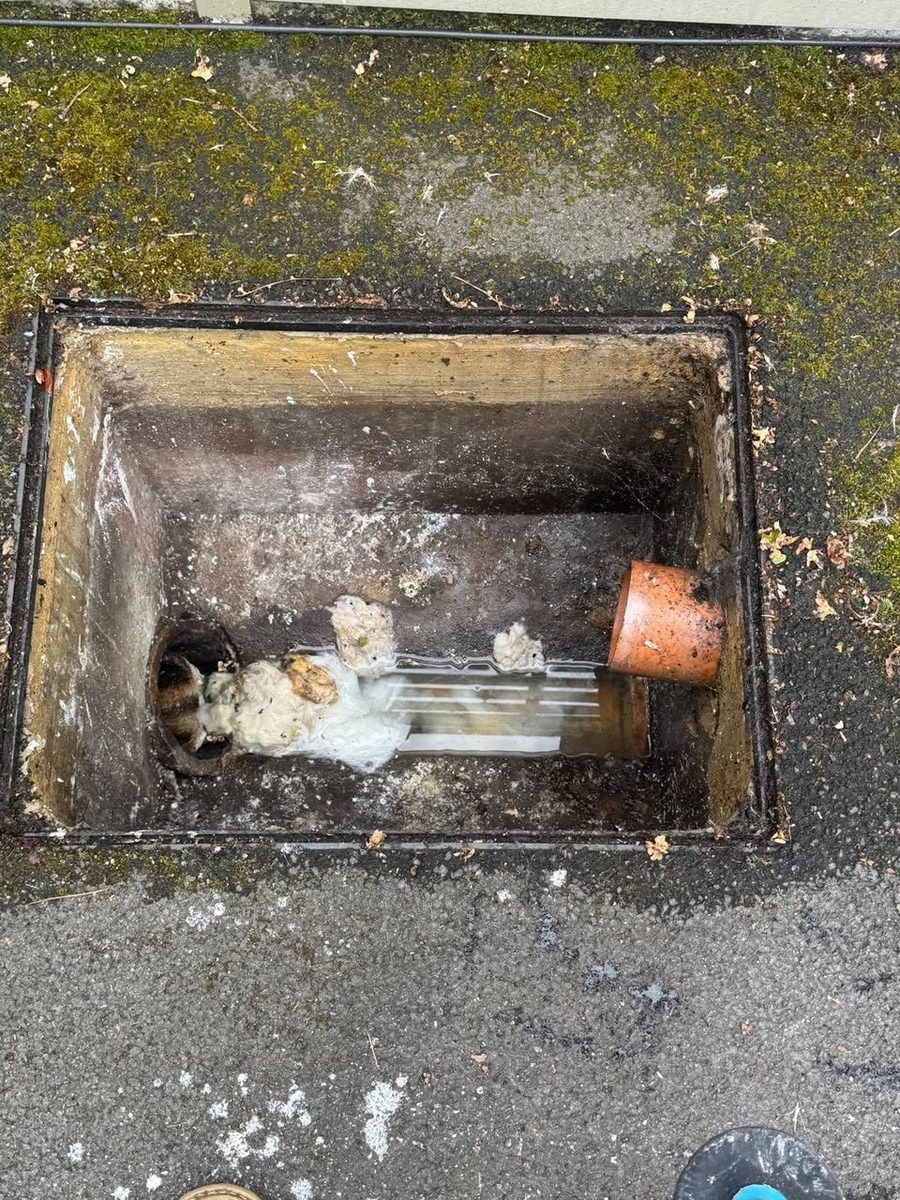 Before: a badly blocked drain full of debris and standing water